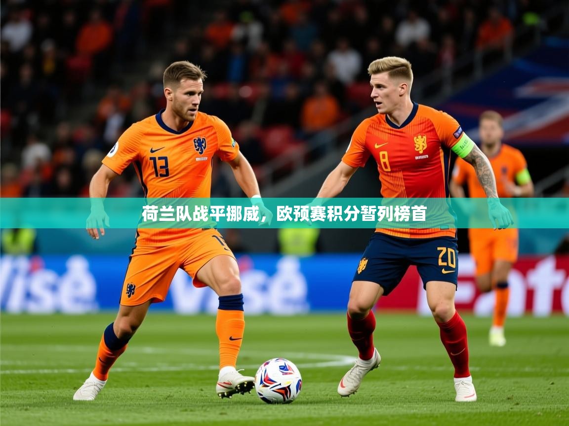 2025开云体育注册app荷兰队战平挪威，欧预赛积分暂列榜首  第2张