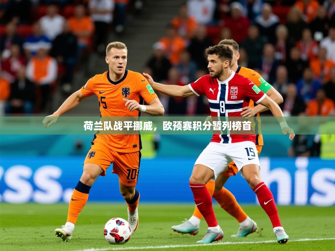 2025开云体育注册app荷兰队战平挪威，欧预赛积分暂列榜首  第4张