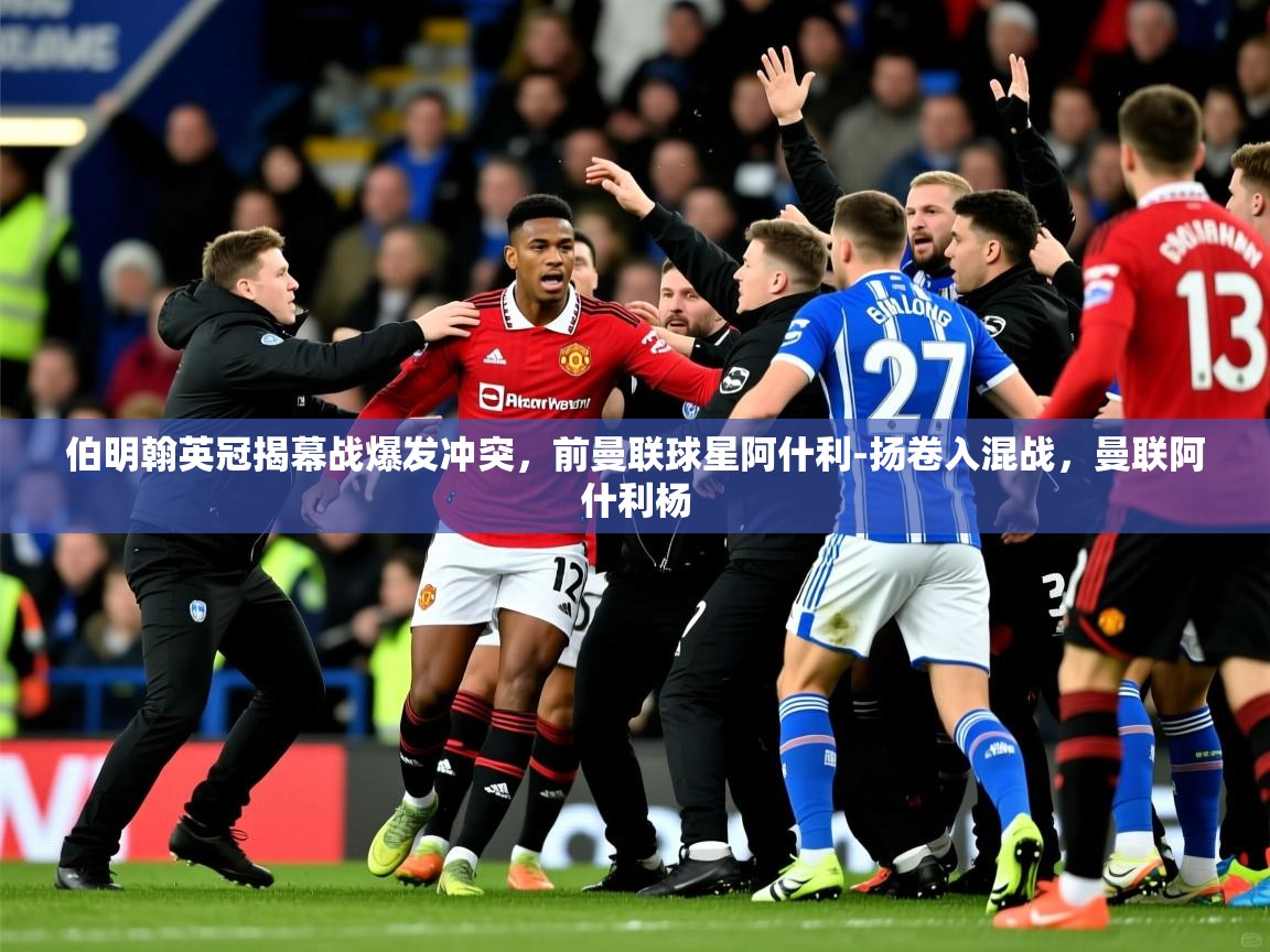2025开云体育在线入口伯明翰英冠揭幕战爆发冲突,前曼联球星阿什利-扬卷入混战,曼联阿什利杨 第2张