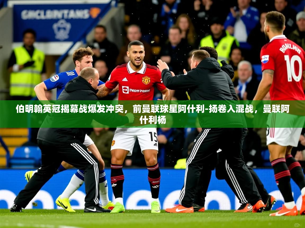 2025开云体育在线入口伯明翰英冠揭幕战爆发冲突,前曼联球星阿什利-扬卷入混战,曼联阿什利杨 第4张